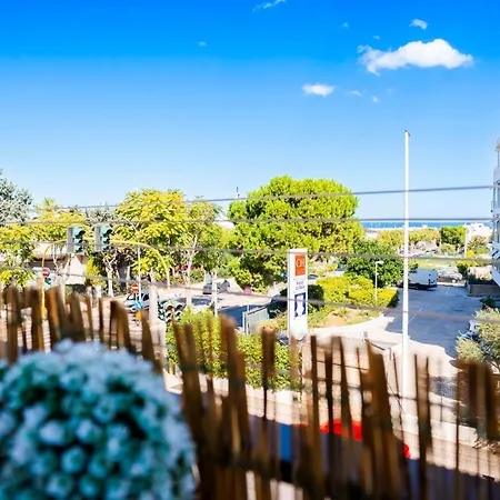 Angel Oak Palese Airport *