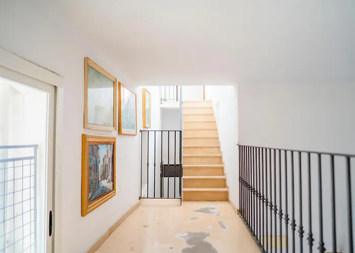 Angel Oak Palese Airport *